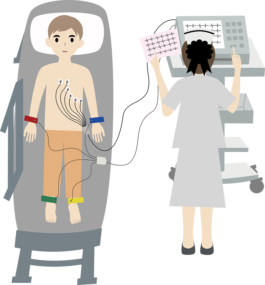 10 ekg elektrod a 12 ekg svodů
